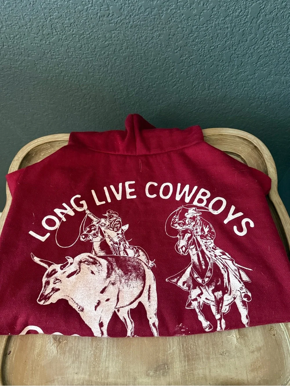 Wrangler Dog Graphic Hoodie with Longhorn Print